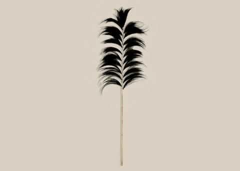 Dried Leaf Decoration Black - Home and Soul