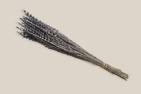 Lavender New - Home and Soul