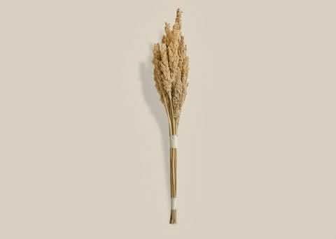 Pampas Natural New - Home and Soul