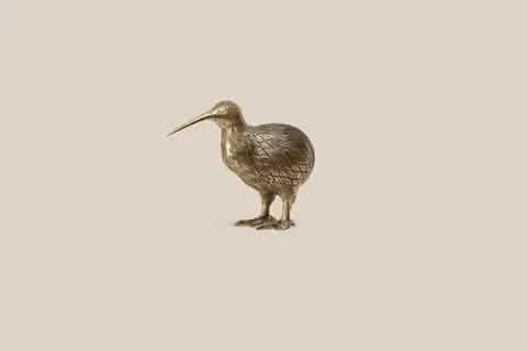 Bird Kiwi Large Deco - Home and Soul