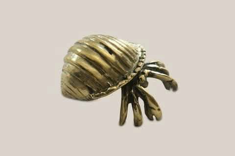Seashell Bronze Decoration New - Home and Soul