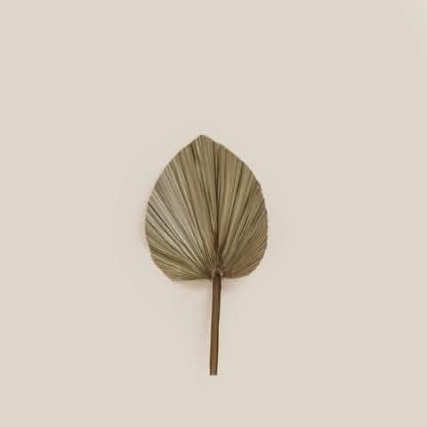 Small Palm - Home and Soul