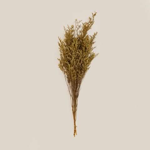 Bloom broom Mustard - Home and Soul