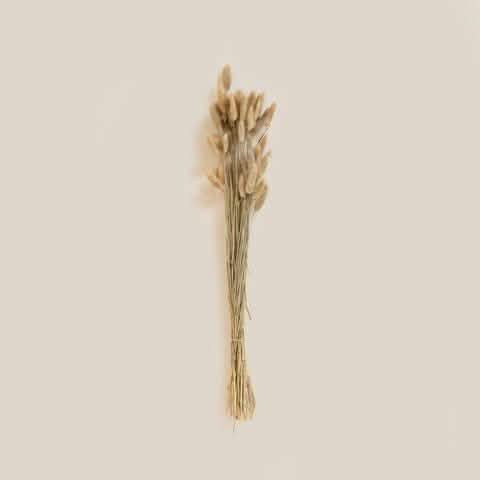 Bunny Tail Natural. - Home and Soul
