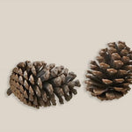 Pine Cone Large