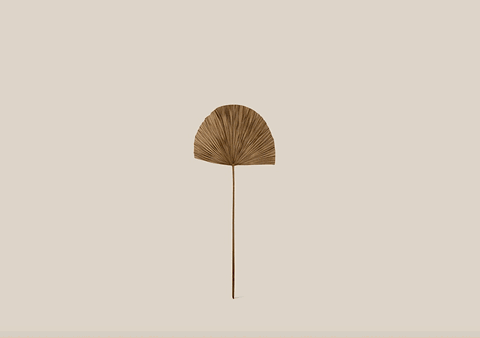 Palm Leaf Round