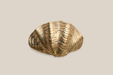 Shell Bronze Medium 1