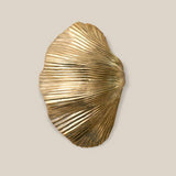 Shell Bronze Medium 2