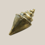 Rock Shell Bronze