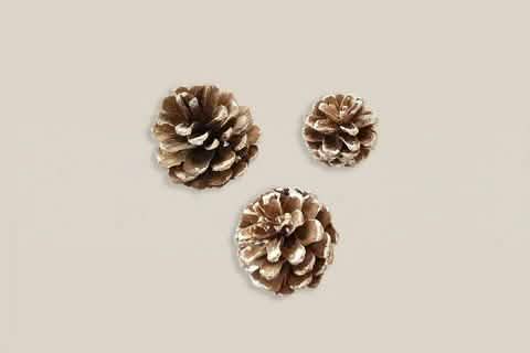 Snow Pine Cone - Home and Soul