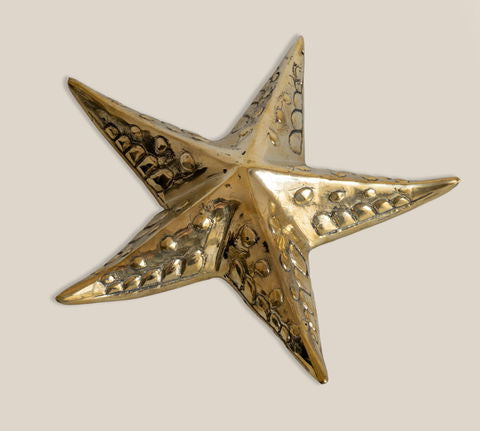 Star Fish Bronze Decoration Large