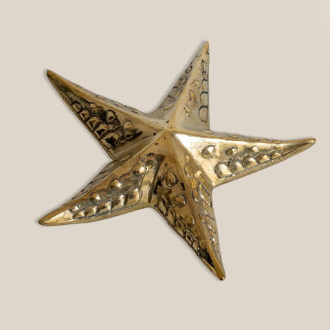 Star Fish Bronze Decoration Large