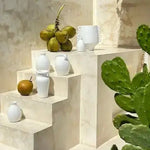 Bali collection white ceramic vases styled on textured stone steps with coconuts and cactus, Mediterranean outdoor decor