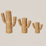 Cactus Rattan Decor - Home and Soul