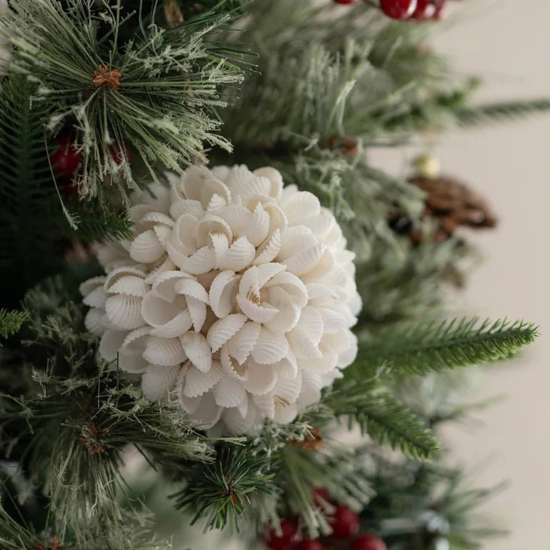 Organic and sustainable natural white shell ball