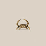 Crab Bronze XS Decor