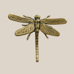 Dragon Fly Decor - Home and Soul Dubai