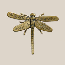 Dragon Fly Decor - Home and Soul
