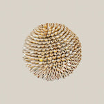 Handmade Decorative Shell Ball Decor Medium