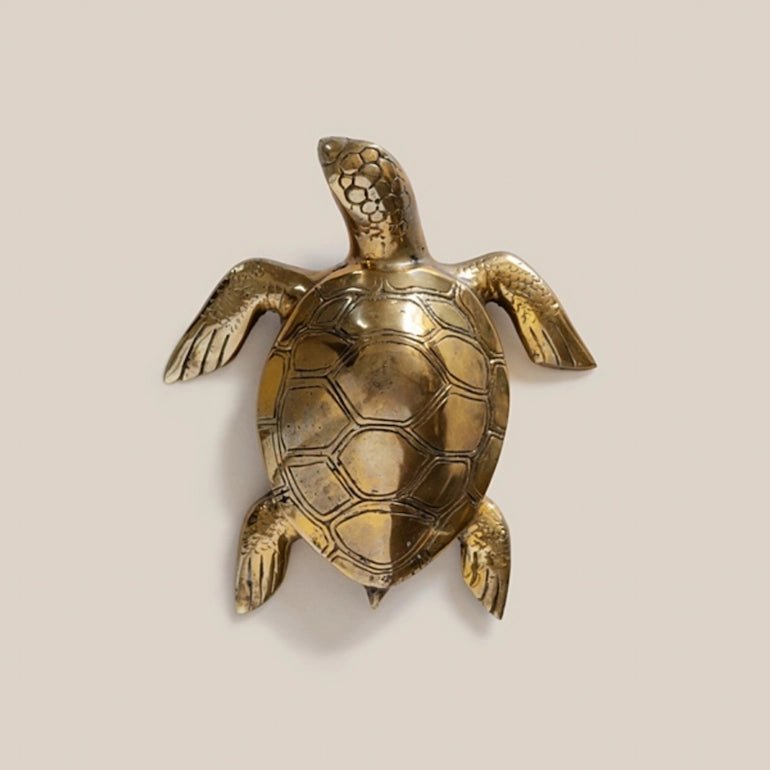 Turtle Medium Bronze Decor