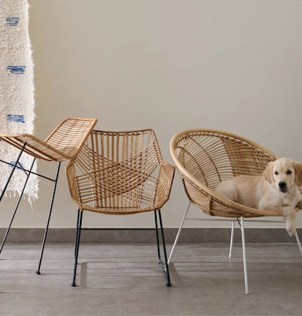 Rattan armchair and dining chair on sale close-up - rattan furniture Dubai
