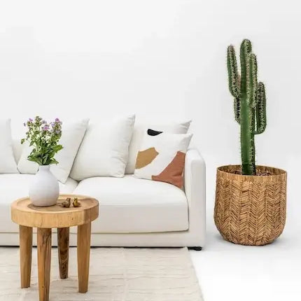 White sofa with woven water hyacinth basket and wooden coffee table in a boho living room